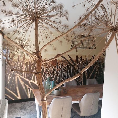 Bed En Breakfast Het Oelenest Hooghalen ภายนอก รูปภาพ